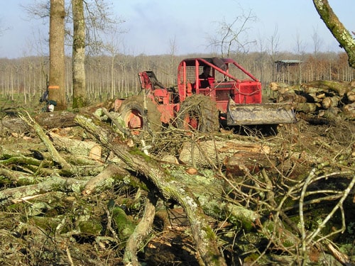Exploitation forestière à Prat-Bonrepaux  
